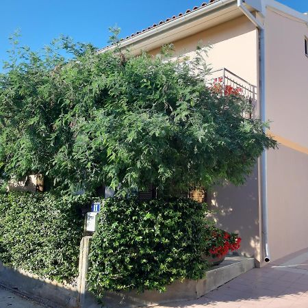 Studio Rocco Novigrad  Екстер'єр фото