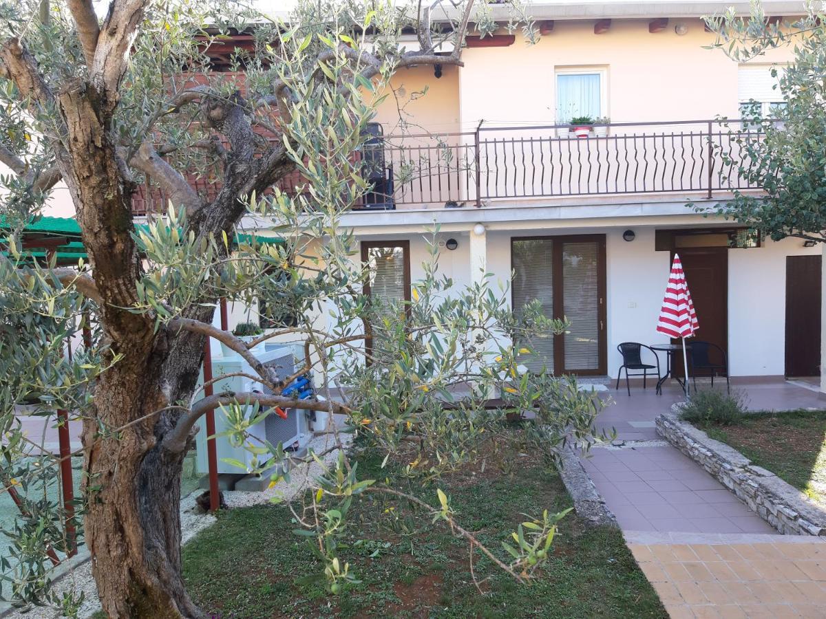 Studio Rocco Novigrad  Екстер'єр фото