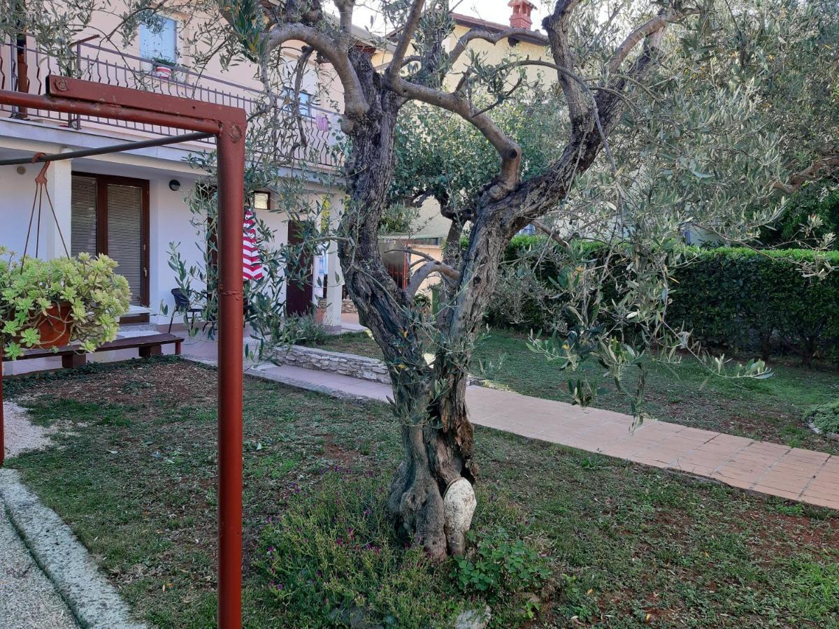 Studio Rocco Novigrad  Екстер'єр фото